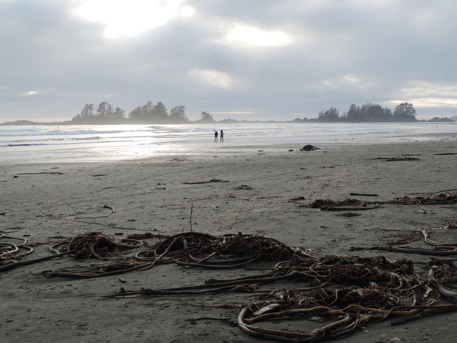 Chesterman's Beach at dusk