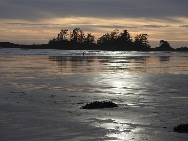 Chestermans Beach, Tofiino