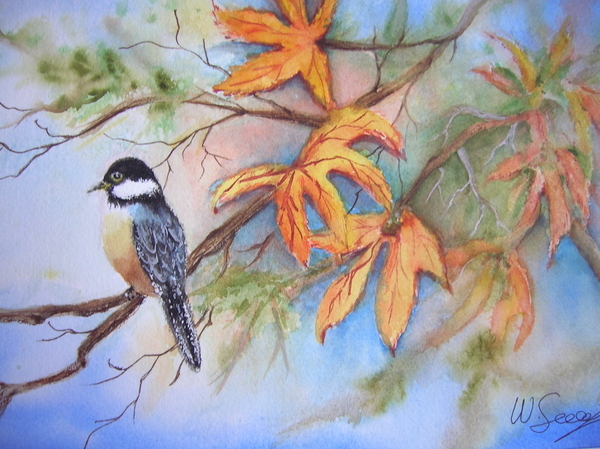 Chickadee in Autumn