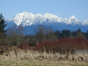 Garibaldi Mountain Range