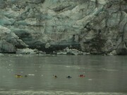 Glacier Bay with Kayakers, Alaska