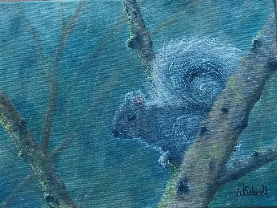 Grey Squirrel