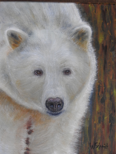 Kermode Bear