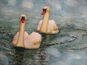 Lost Lagoon Swans