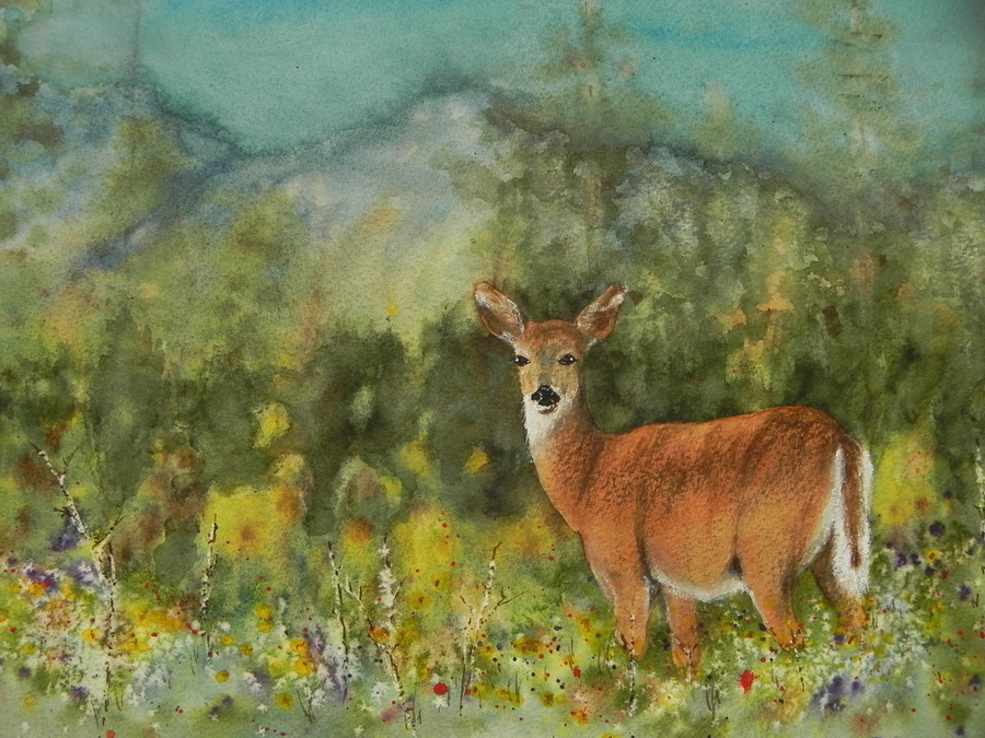 Mountain Meadow Visitor