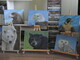 Oil Painting Wildlife Collection -  March to May 2020