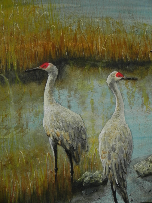 Reifel Island Cranes