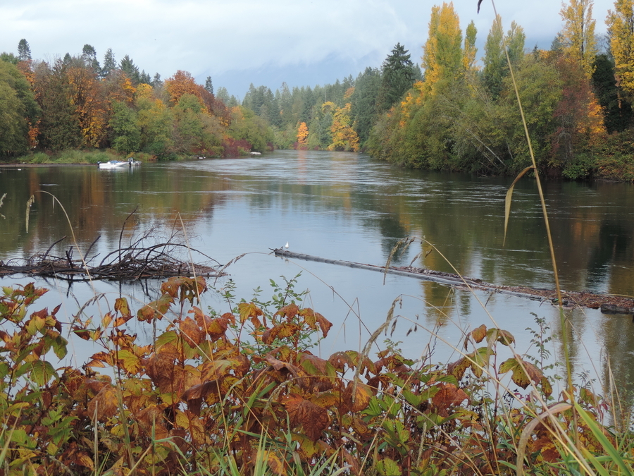 Somass River Inlet, Port Alberni