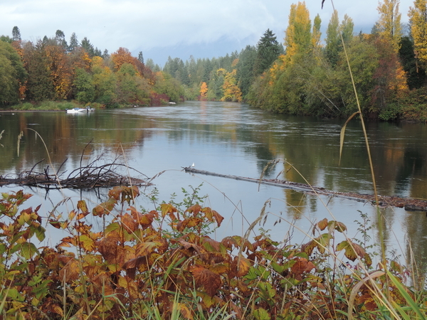 Somass River Inlet, Port Alberni