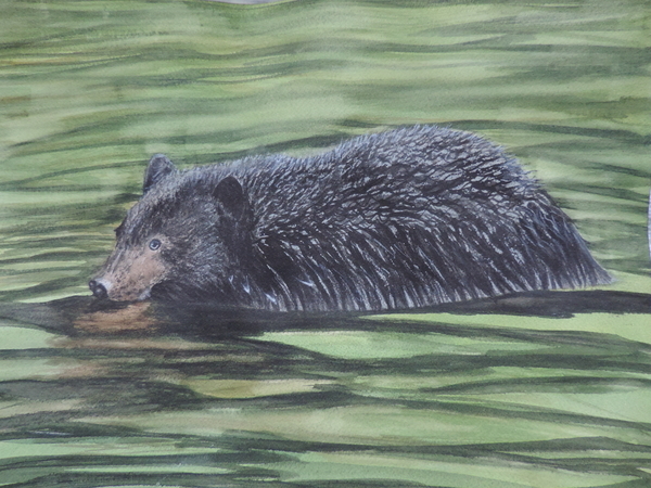 Swimming into Shore