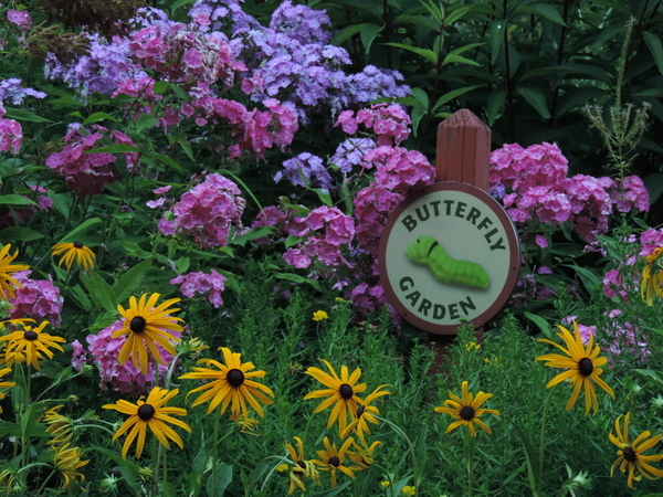 The Butterfly Garden, Burnaby Lake