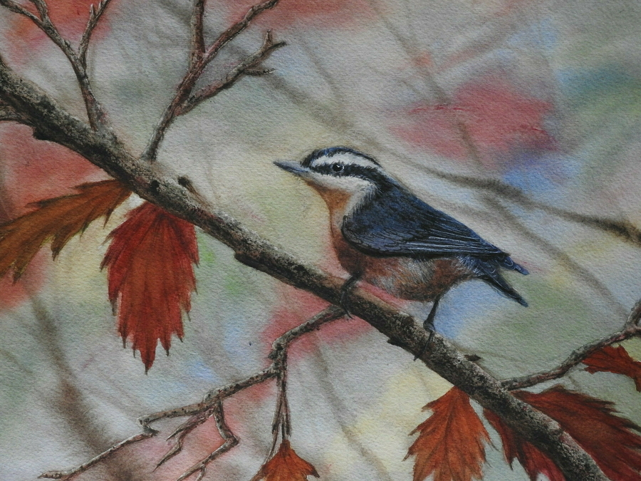 The Nuthatch