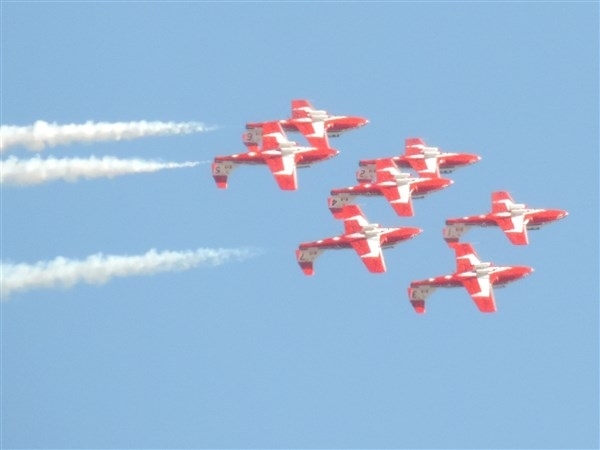 The Snowbirds