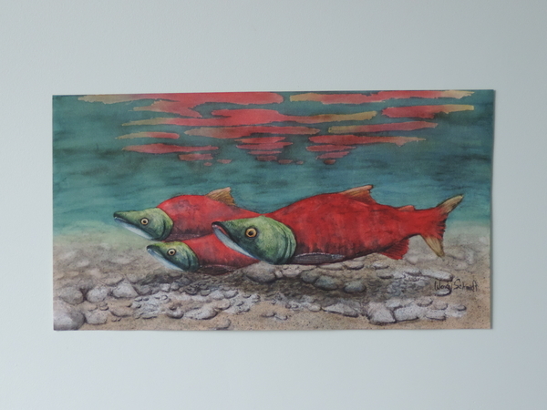 The Sockeye Run