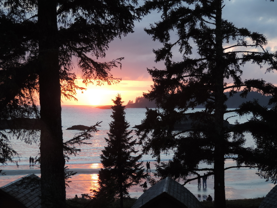 Tofino Sunset