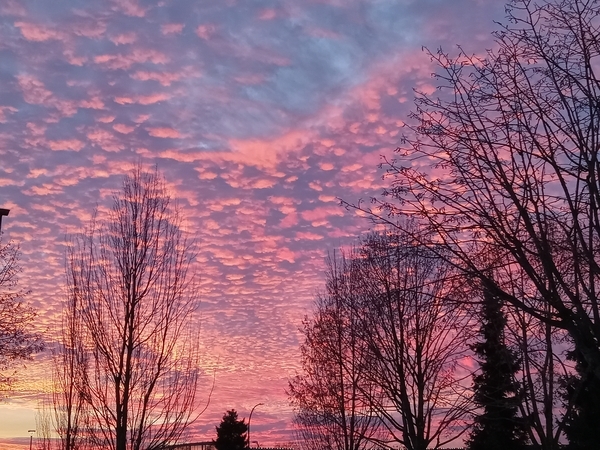 Winter Sunset over Fraser River